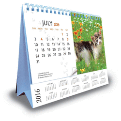 Desk Calendars